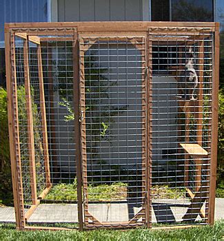 Outdoor Cat Enclosures: Outside Protected Play And Rest Areas For Your ...