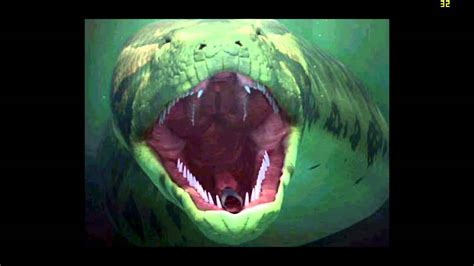 Titanoboa - Movie Rant/Review - YouTube