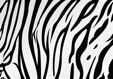 White Tiger Vector Art, Icons, and Graphics for Free Download