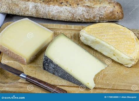 French cheese platter stock photo. Image of cheese, terroir - 170834880