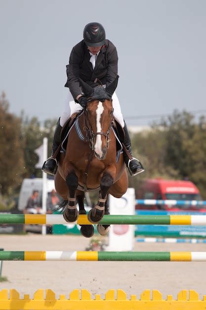 Premium Photo | Horse jumping competition