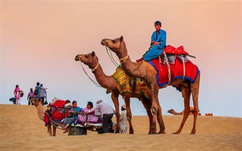 11 Best Desert Safari in Jodhpur: Experience the Thrill