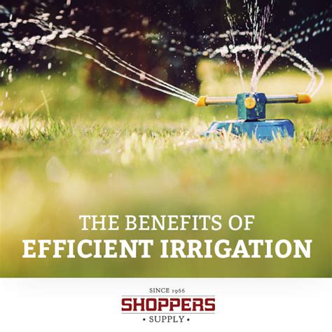 The Benefits of Efficient Irrigation - Shoppers Supply