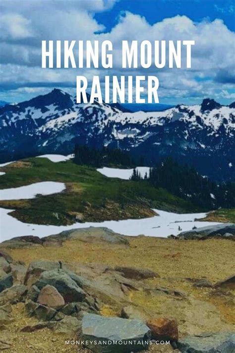 7 Best Mount Rainier Hiking Trails for Easy to Moderate Adventures