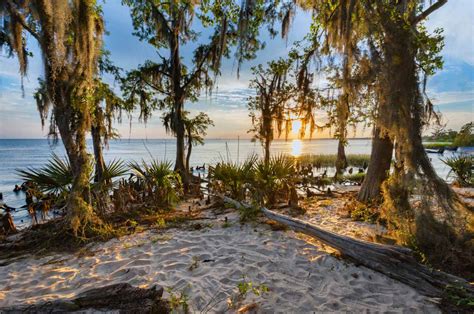 16 Best Louisiana State Parks For a Fun Weekend