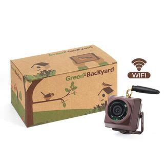 Birdhouse Camera HD with Wireless Transmission - Green Backyard