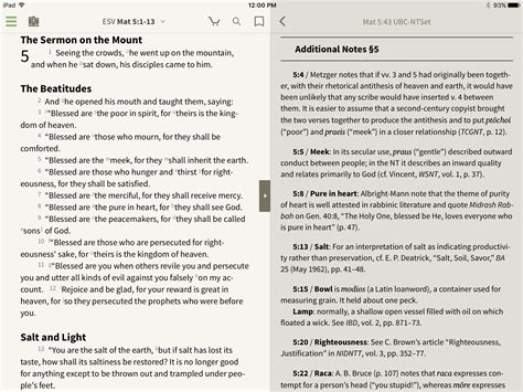 Understanding the Bible Commentary - Olive Tree Blog