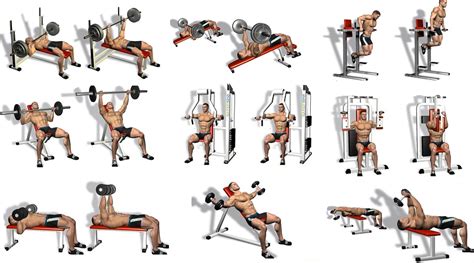 Five Best Chest Exercises To Make The Gym Jealous Of Your Pecs ...