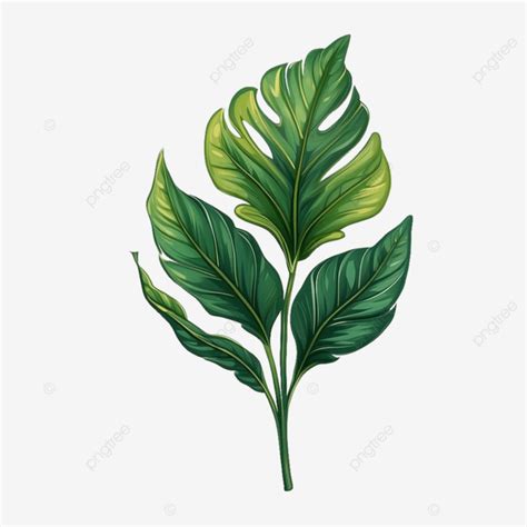 Tropical Leafs Plant Icon Vector Illustration Design, Tropical Leafs ...