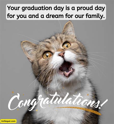 Congratulations Graduation Meme