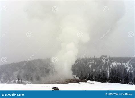 Old Faithful Geyser Erupting Stock Photo - Image of eruption, snow ...