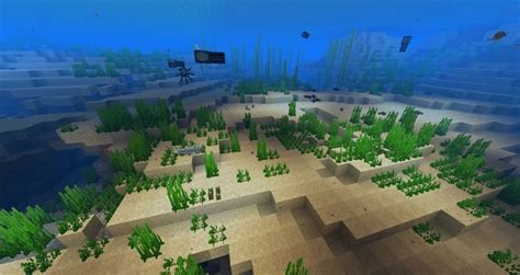 Top 5 best things about ocean biomes in Minecraft