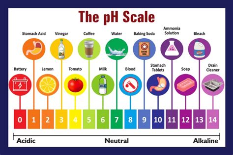 PH Scale PDF | PDF