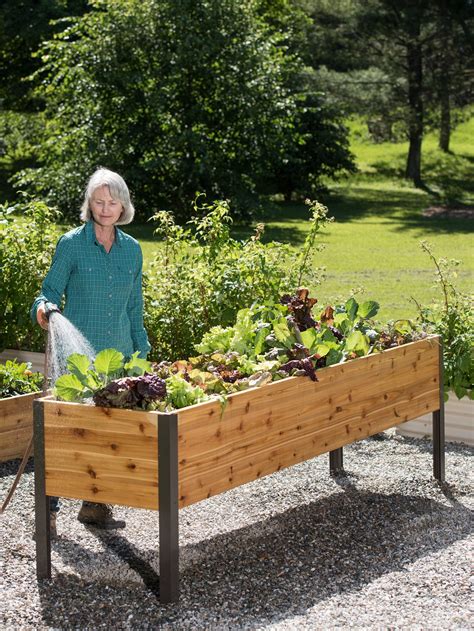 Self-Watering Elevated Cedar Planter Box Eco-Stain 2x8 | Gardeners.com ...