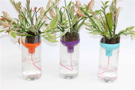 14 Self Watering Planters DIY For The Ones Without A Green Thumb