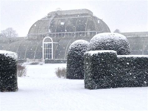 Kew Gardens on Twitter | Kew gardens, Winter garden, Kew