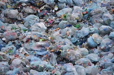 15 Serious Effects of Plastic Bags Causing Environmental Pollution ...