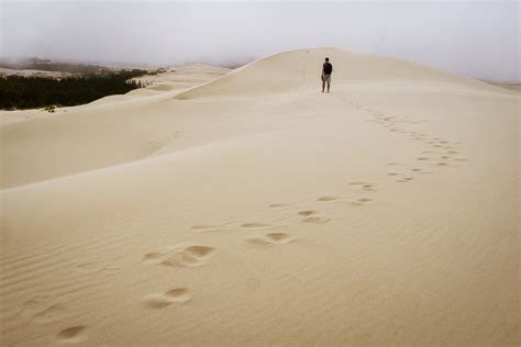 Visiting the Coastal Sand Dunes in Oregon - Erika's Travels