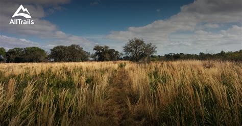 10 Best hikes and trails in Myakka River State Park | AllTrails