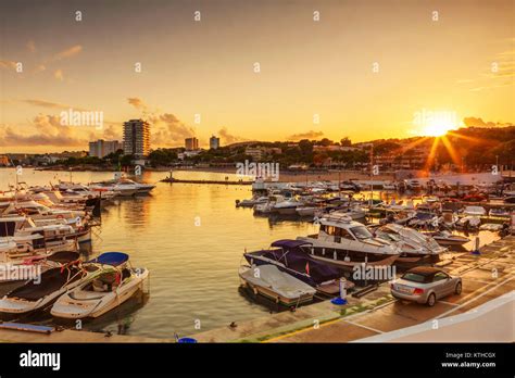 Palma Nova Marina, Mallorca, Spain, Europe Stock Photo - Alamy