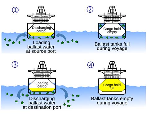 Effective FAQs Guideline – Ballast Water Treatment System