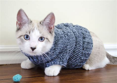 Easy Cat Sweater Knitting Pattern Free Web 49 Free Knit & Crochet Cat ...