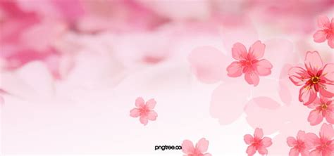 Pink Flowers Background, Photos, and Wallpaper for Free Download