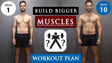 How to GAIN MUSCLE for SKINNY GUYS | Full WORKOUT ROUTINE - YouTube