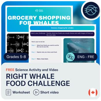 Right whale food chain challenge | Free | Distance learning | TPT