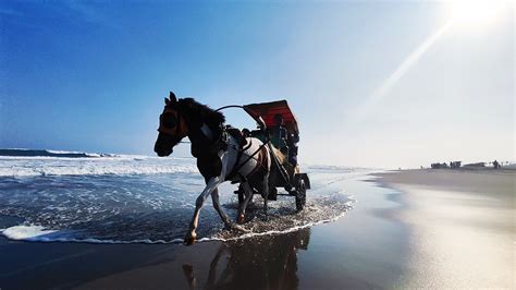 Pantai Parangtritis Bantul Menikmati Sunset Bersama Keluarga