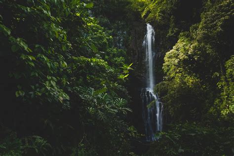 10 Must-See Maui Waterfalls + Map (for swimming, hikes & families)