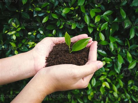 Ecology and environment concept. 19822885 Stock Photo at Vecteezy