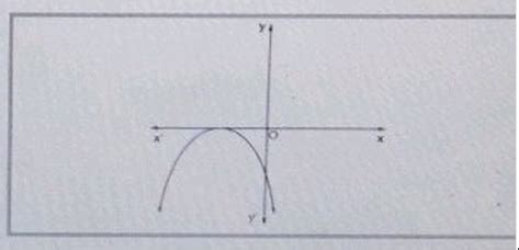 Which of the following is the graph of quadratic polynomial?