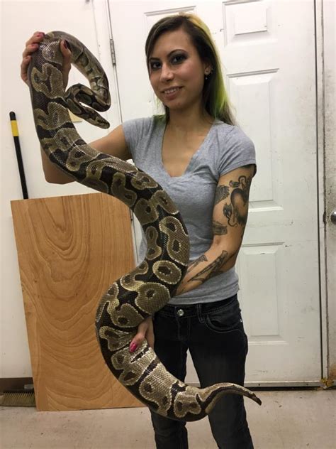 sharon with volta ball python | Outback Reptiles