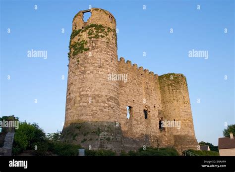 Carlow Castle, Co Carlow, Ireland Stock Photo - Alamy