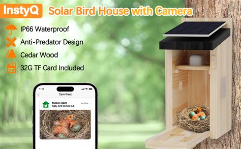 Amazon.com: Bird House with Camera - Solar Powered Birdhouse Camera ...