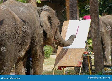 The Elephant is Painting Show Stock Photo - Image of play, funny: 28913886