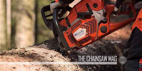 6 Best Electric Chainsaws - (Reviews & Buying Guide 2021)