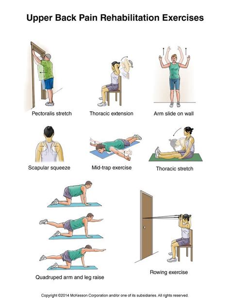 Upper Back Exercises — Knotry