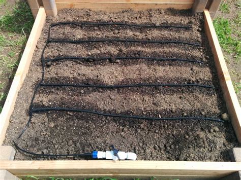 How to Use Soaker Hose in Raised Beds | 5 Easy Steps (2024)