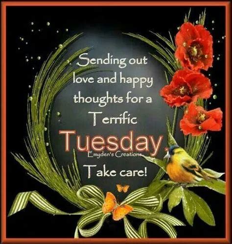 Terrific Tuesday Motivation