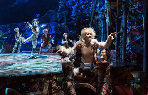 Cats Broadway Cast 2016 : Cats Musical Returning To Broadway Cbs New ...