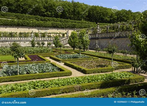 French Formal Garden Stock Image - Image: 10396651