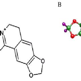 Structures of Berberine (A) 2D chemical structure of Berberine (B) 3D ...