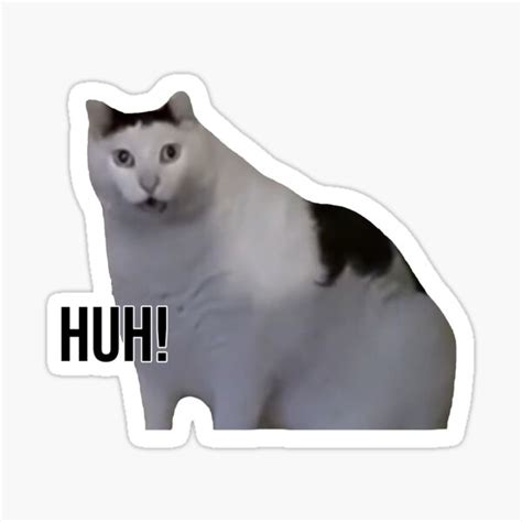 "Huh cat with text" Sticker for Sale by rbuser4 | Redbubble