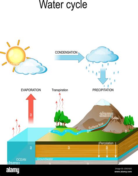 Water cycle diagram hi-res stock photography and images - Alamy