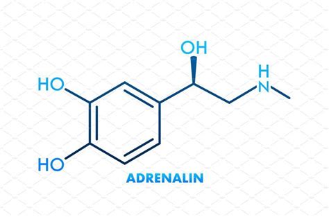 Adrenaline or adrenalin, epinephrine in 2022 | Epinephrine ...