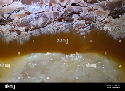 Topic chocolate bar at 2.5x magnification Stock Photo - Alamy