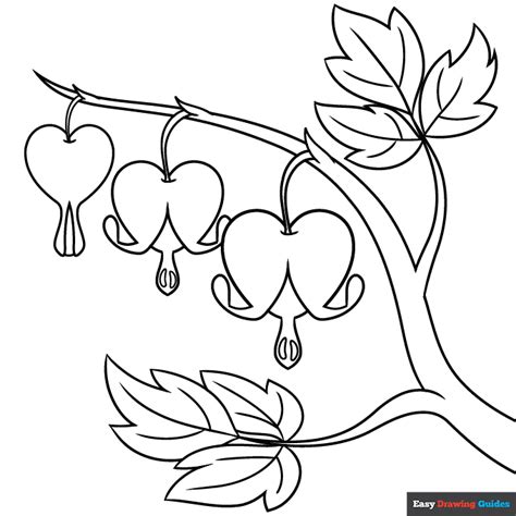 Bleeding Heart Flower Coloring Page | Easy Drawing Guides