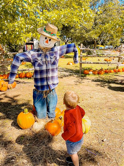 Things To Do In The Fall In Austin: Your Autumn Bucket List | The ...